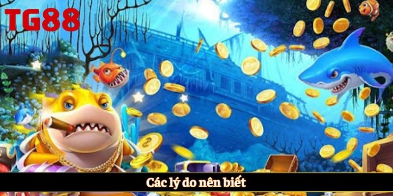 Các lý do nên biết