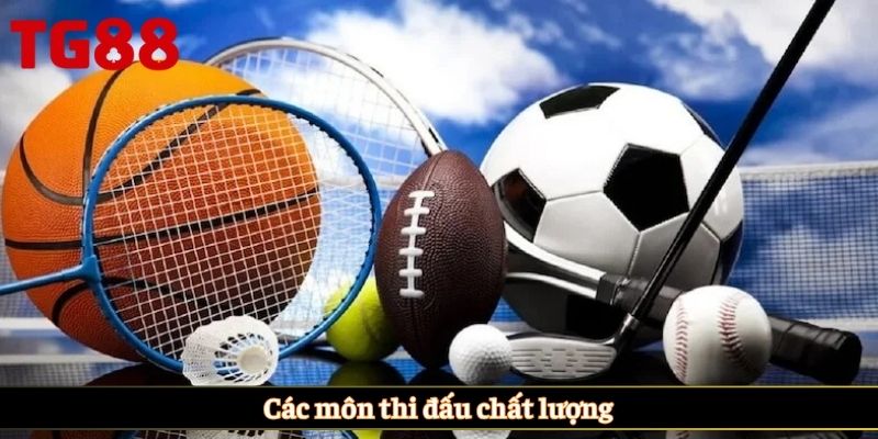 Các môn thi đấu chất lượng