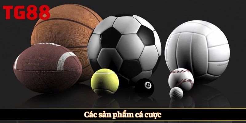 Các sản phẩm cá cược