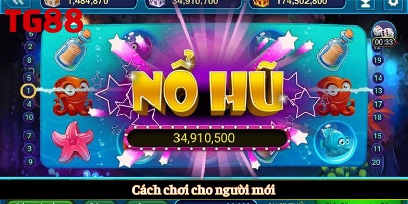 Cách chơi cho người mới