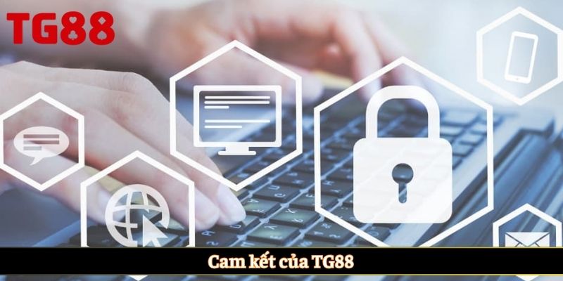 Cam kết của TG88