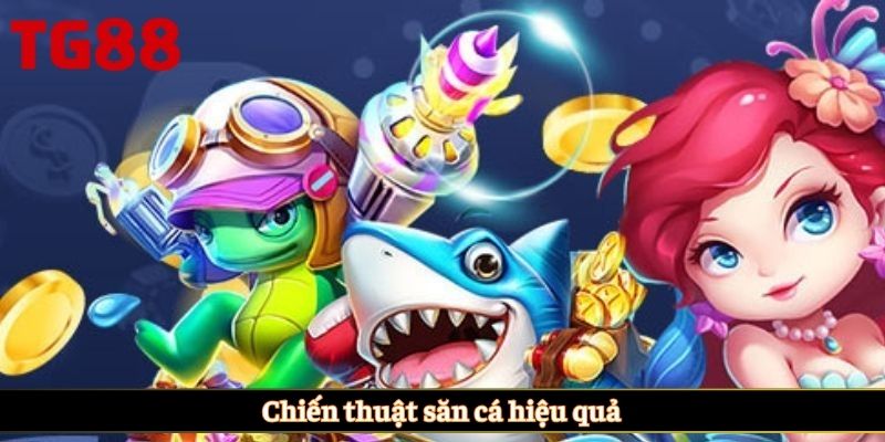 Chiến thuật săn cá hiệu quả