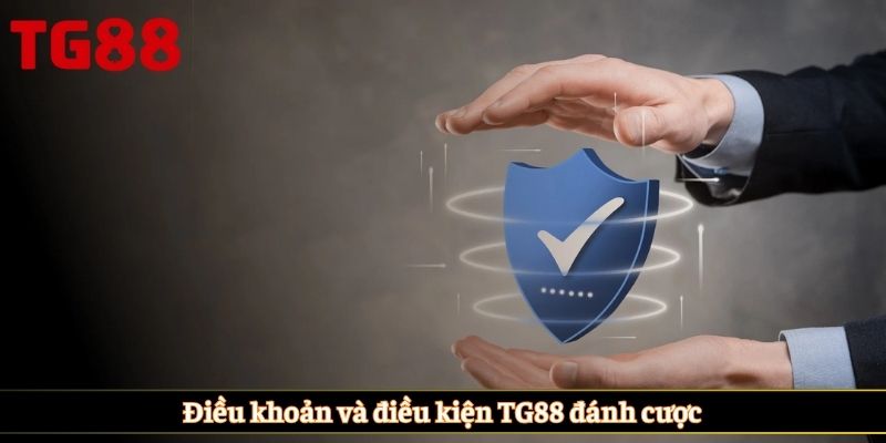 Điều khoản và điều kiện TG88 đánh cược