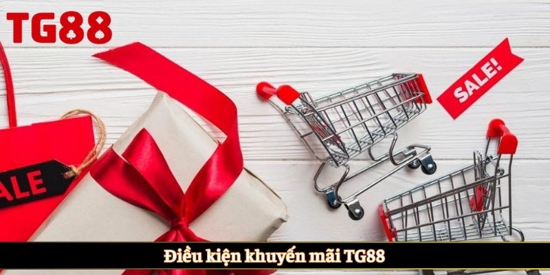 Điều kiện khuyến mãi TG88