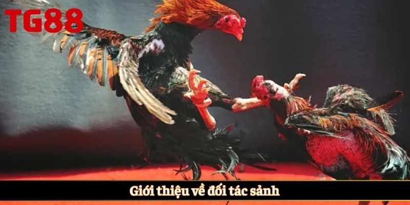 Giới thiệu về đối tác sảnh