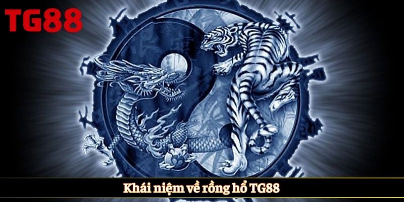 Khái niệm về rồng hổ TG88