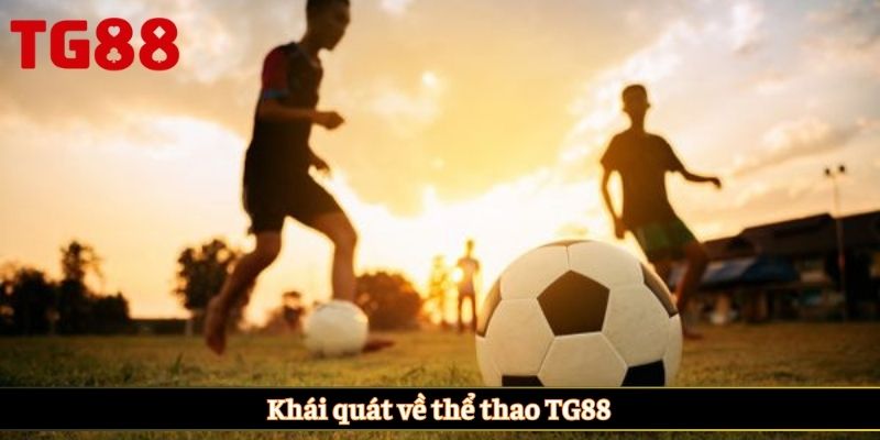Khái quát về thể thao TG88