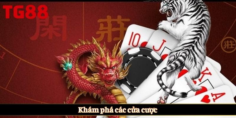 Khám phá các cửa cược