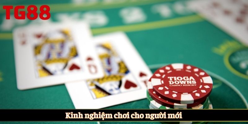 Kinh nghiệm chơi cho người mới
