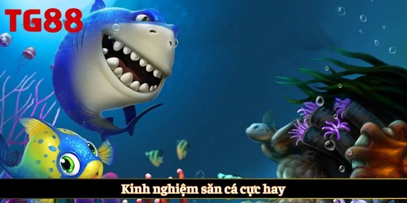 Kinh nghiệm săn cá cực hay