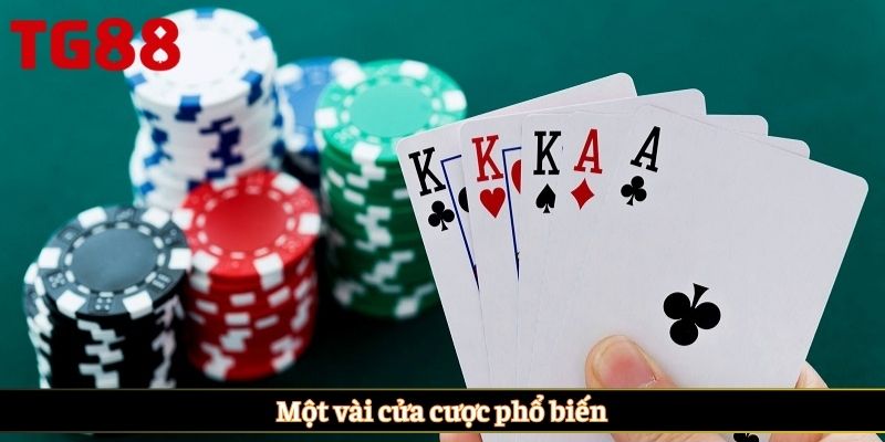 Một vài cửa cược phổ biến