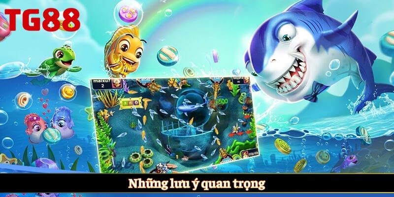 Những lưu ý quan trọng
