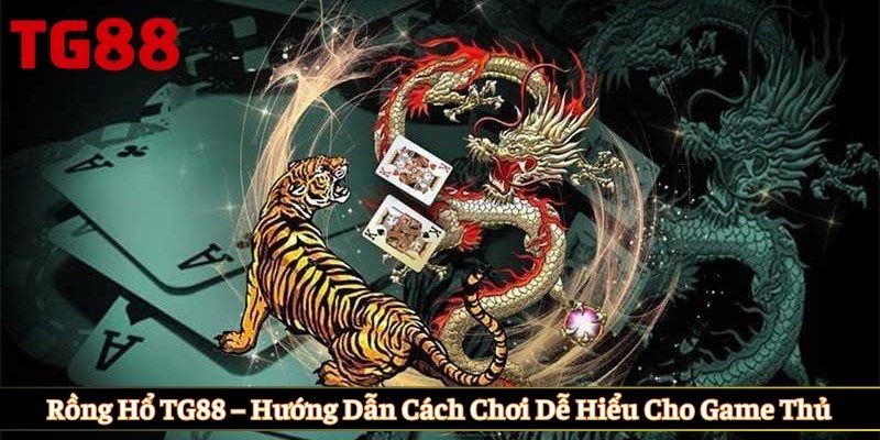 Rồng hổ TG88
