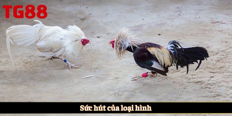Sức hút của loại hình