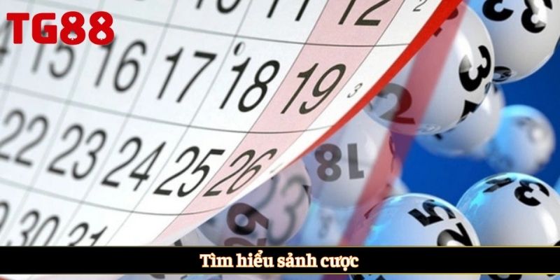 Tìm hiểu sảnh cược