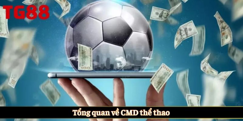 Tổng quan về CMD thể thao