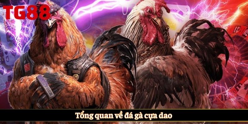 Tổng quan về đá gà cựa dao