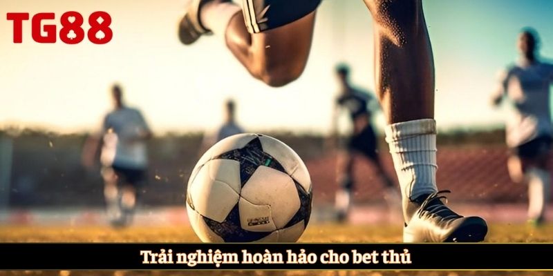Trải nghiệm hoàn hảo cho bet thủ