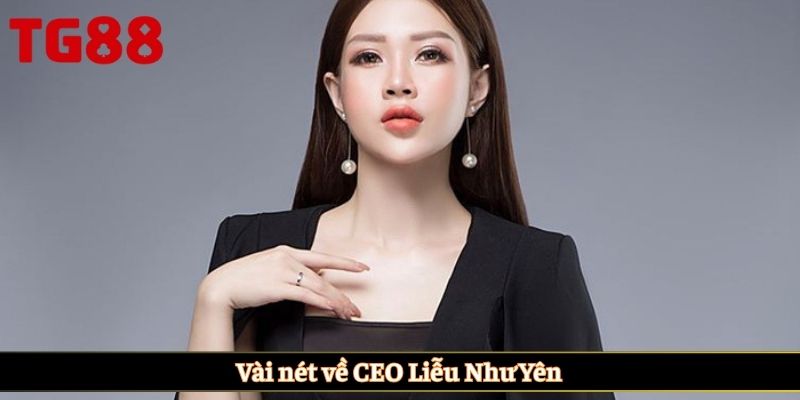 Vài nét về CEO Liễu Như Yên
